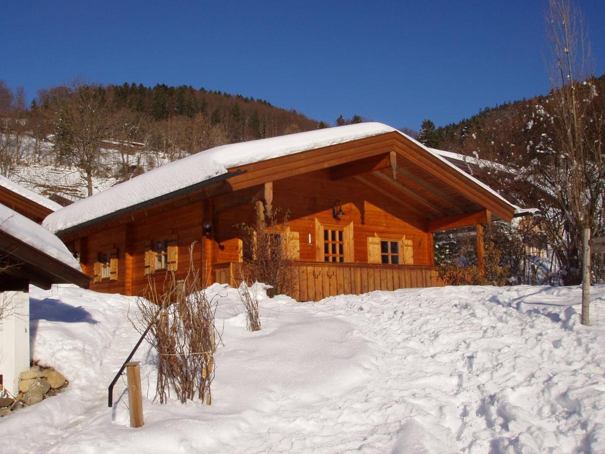 Ruhige Chalets Mit Seeblick In Zentraler Lage シュリールゼー エクステリア 写真